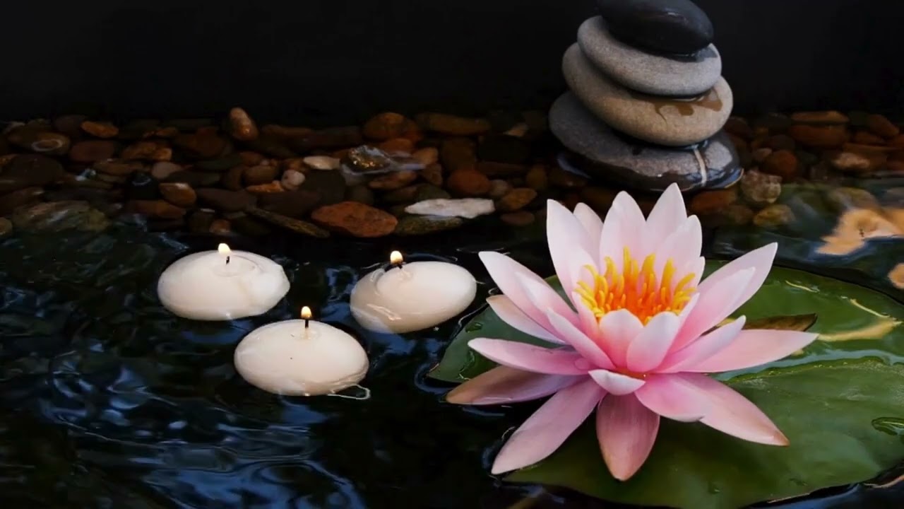 À bout ? Respire. Zen immédiat. Calme absolu… ton esprit va enfin se détendre. ZEN
