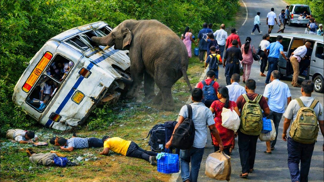 🚨“Close Call🚨 Elephant vs Bus – A Terrifying Wildlife Encounter”😱🐘#attack #elephant