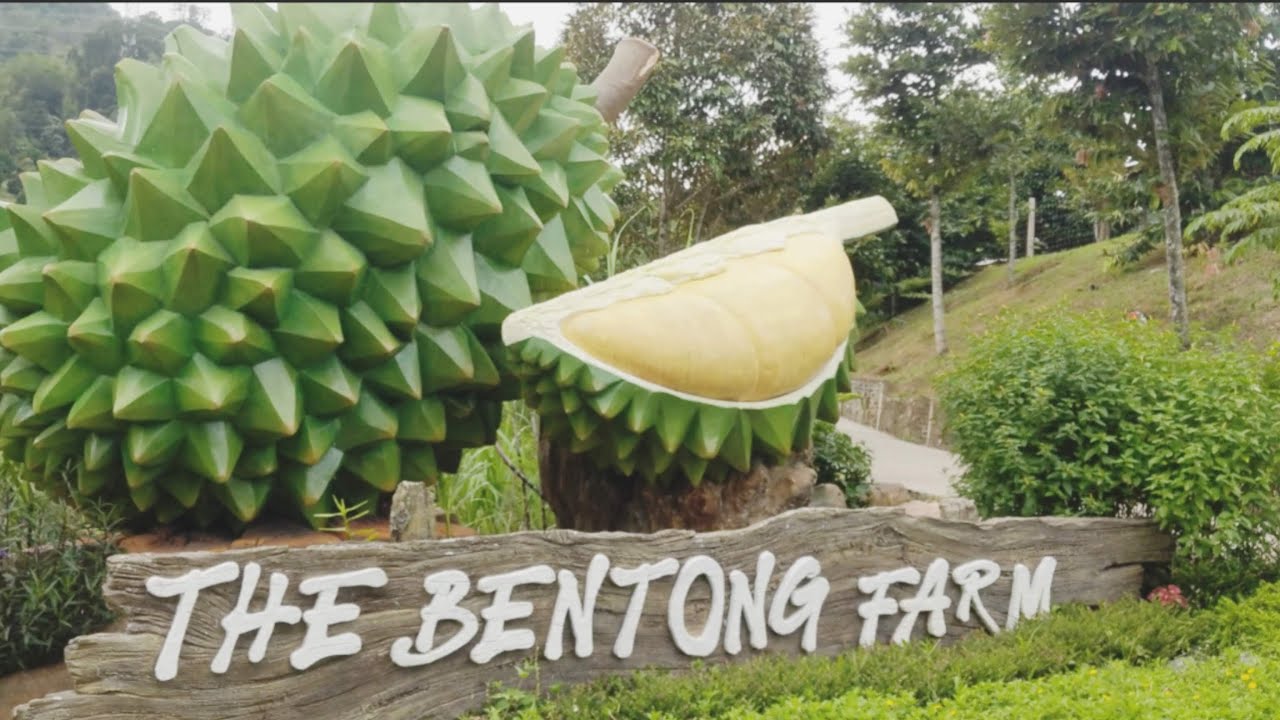 The Bentong Farm, Malaysia| Keekee's World