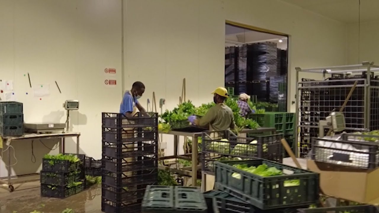 Visita all’azienda agricola biologica “Ambiente Naturale” di Gambara, Brescia - Terre di Ecor