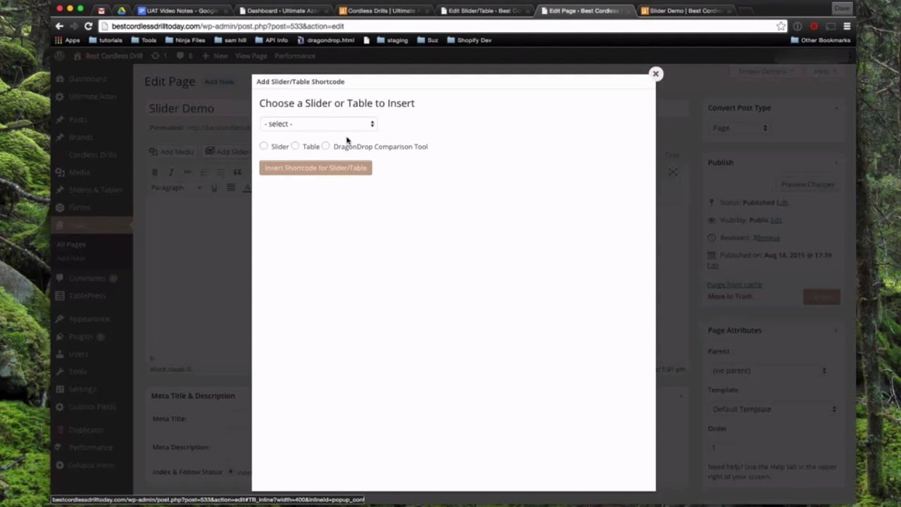 Ultimate Azon Theme - Setting up the slider & DragonDrop