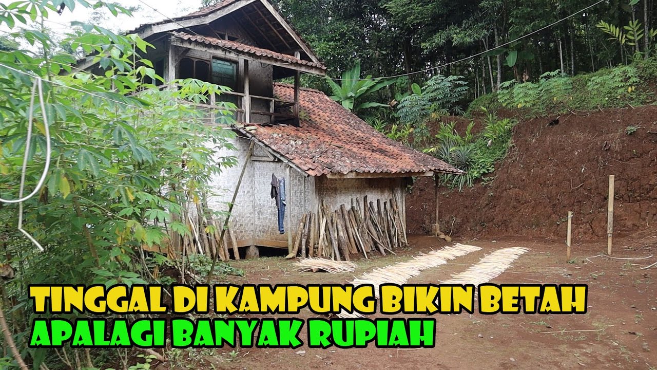 Di Balik Alam Yang Indah...Tak Seindah Kehidupan Penghuninya. Meski Pikun..Si Abah Tetap Bekerja.