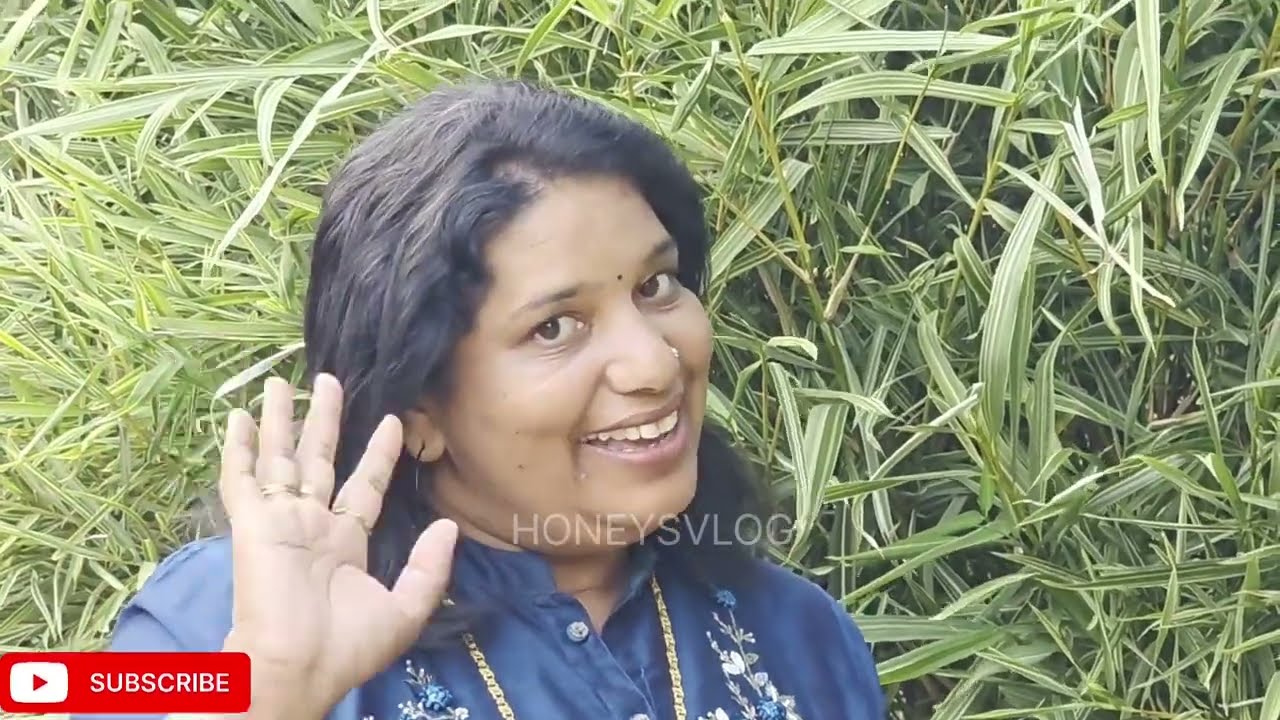 Periyar Tiger Reserve  Thekkady Idukki മനോഹരമായ തേക്കടിയിലെ കാഴ്ചകൾ