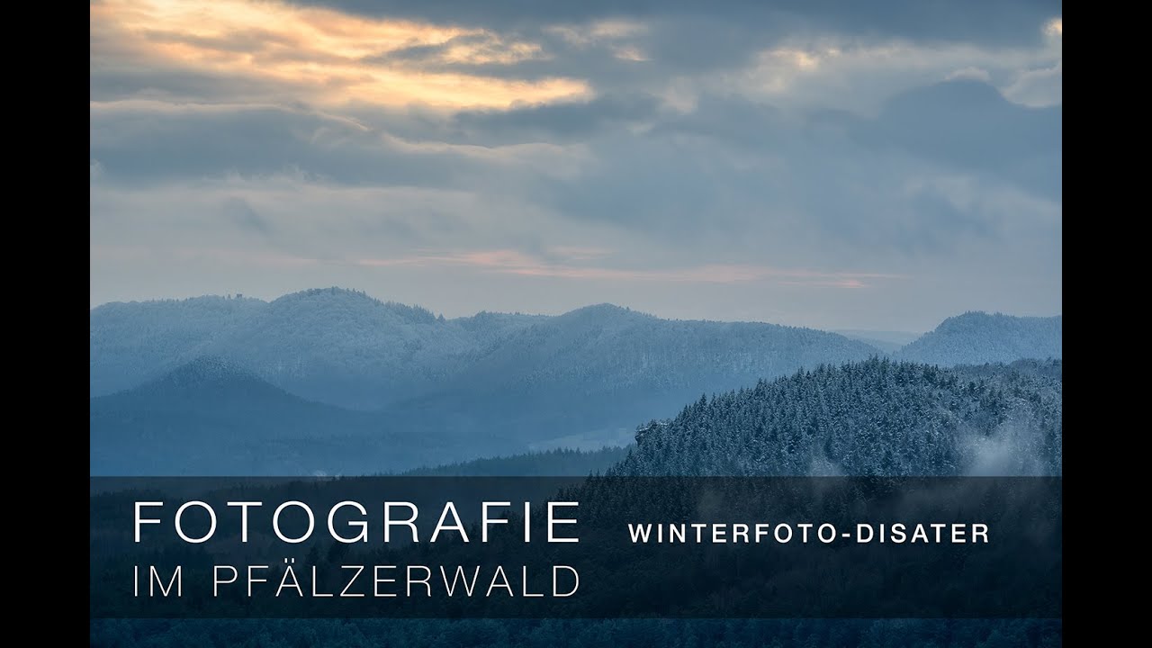 Fotografische Geschichten aus dem Pfälzerwald | WINTERFOTO DISASTER