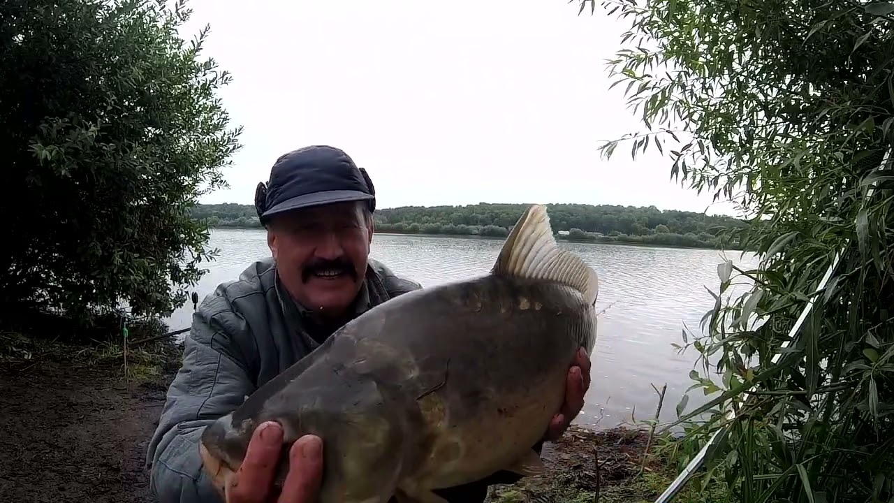 Короп ламає підсак! Поросята в погану погоду!