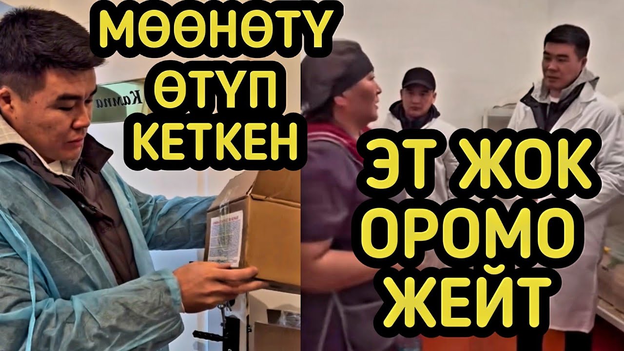 РЕЙД: МЭР БАЛА БАКЧАЛАРДЫ ТЕКШЕРДИ 