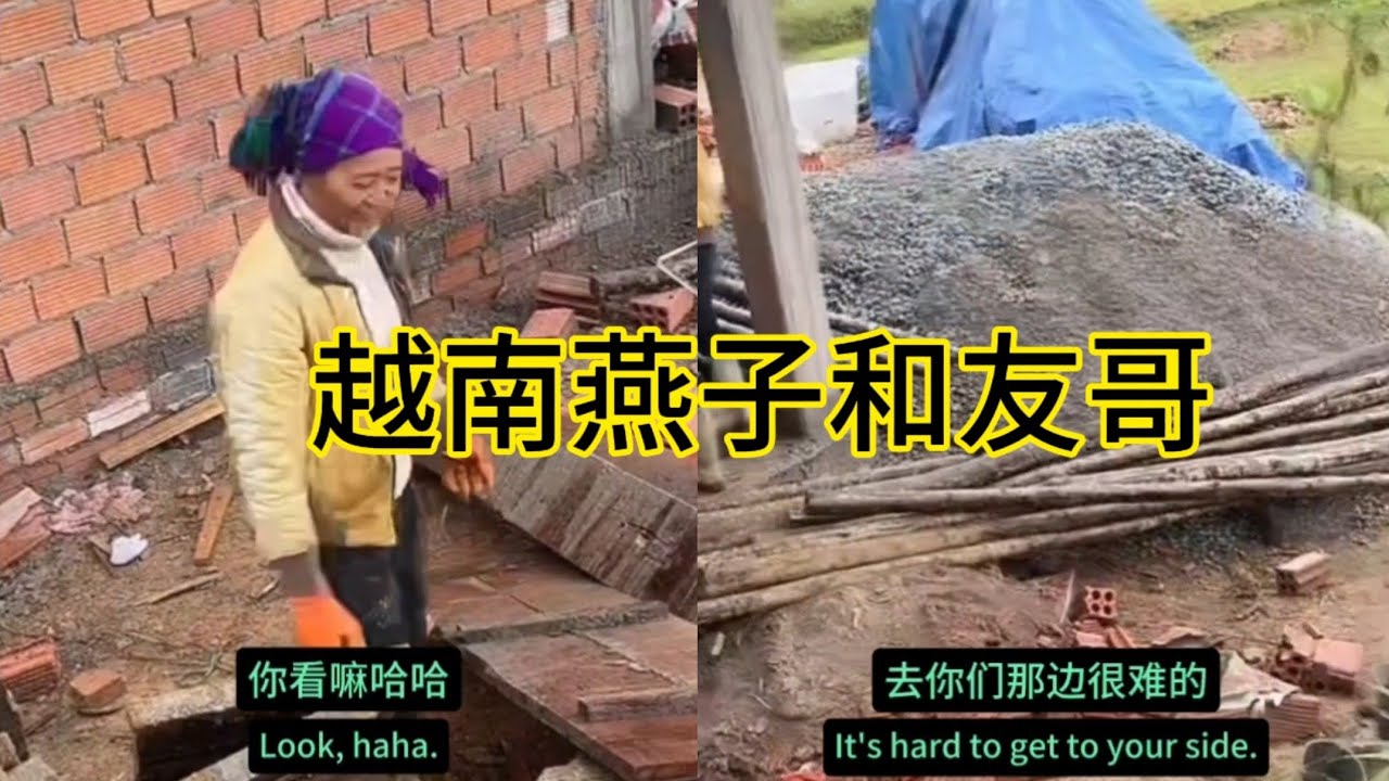 越南燕子和友哥