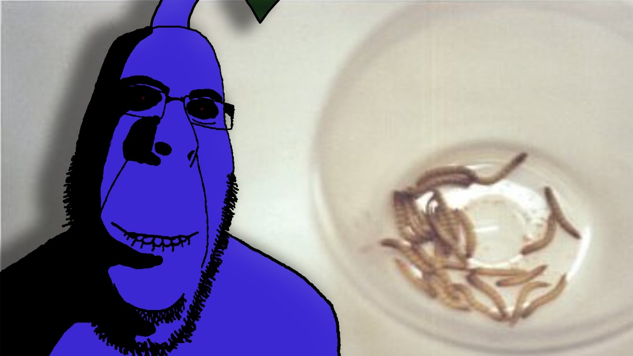 The Most Insane Pikmin Fan