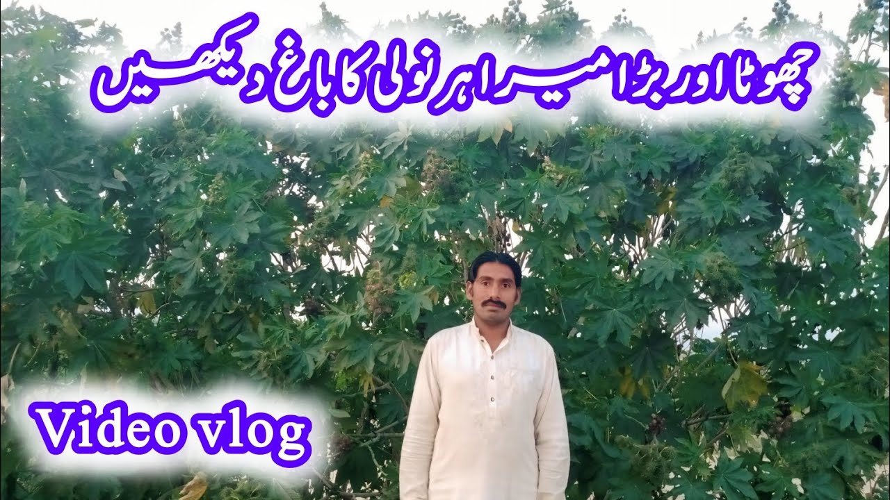 چھوٹا اور بڑا میرا ہرنولی کا باغ دیکھیں 