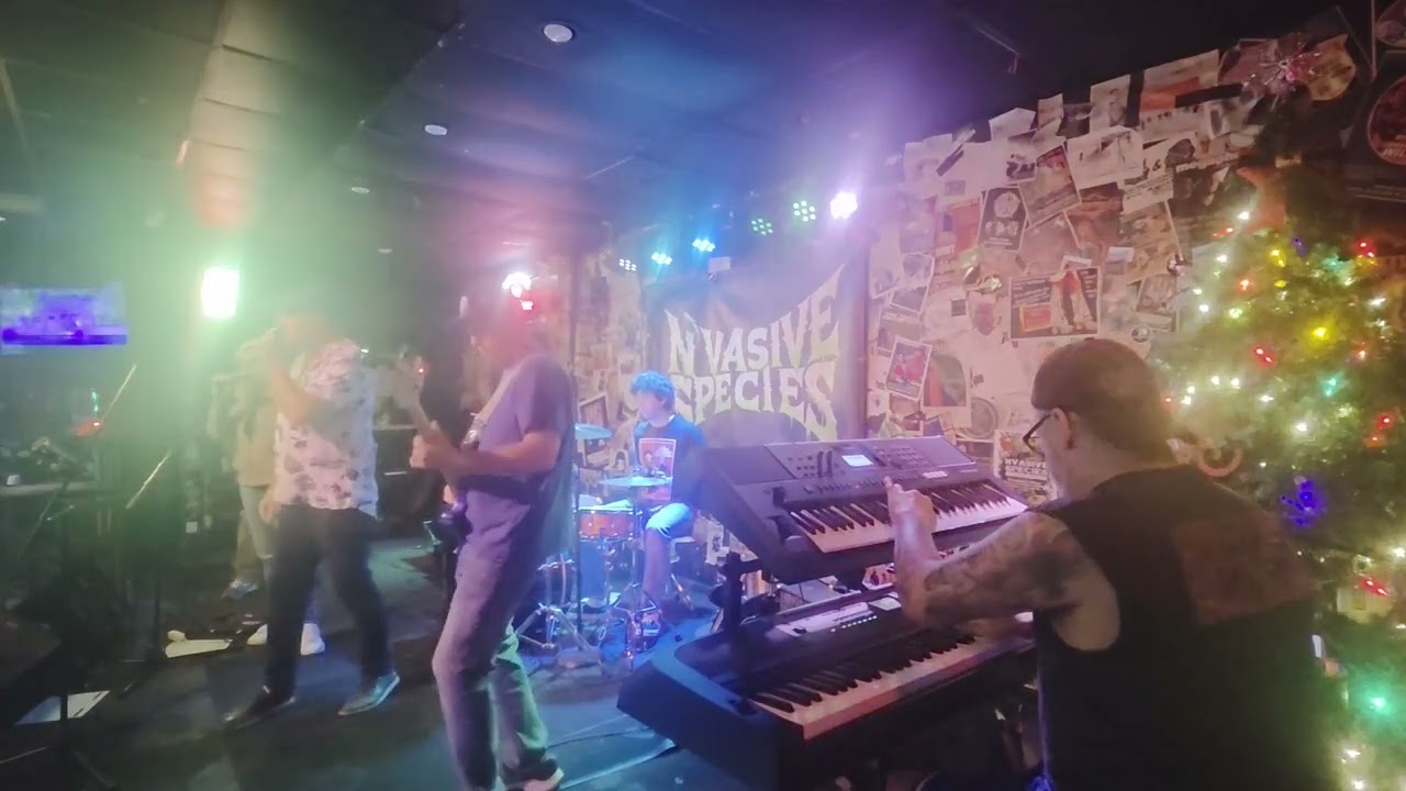 Sledgehammer (cover) (Nvasive Species - December 12, 2025)