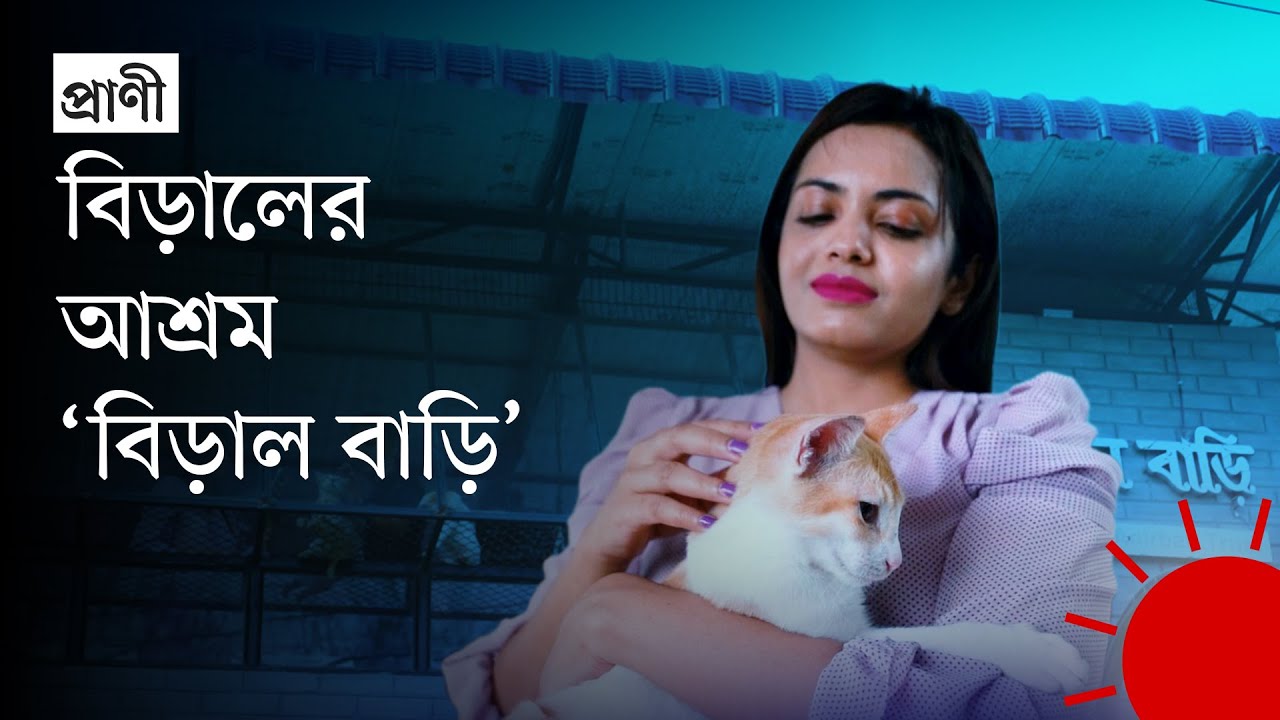 বিড়ালের অভিজাত বাড়ি, যেখানে রাজত্ব বিড়ালের | Biral Bari | Cat House | Prothom Alo