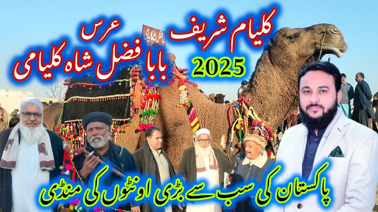 Kalyam Sharif Mela 2025 | Baba Fazal Shah Kalyami Urs | Pakistan Big Camel Mandi