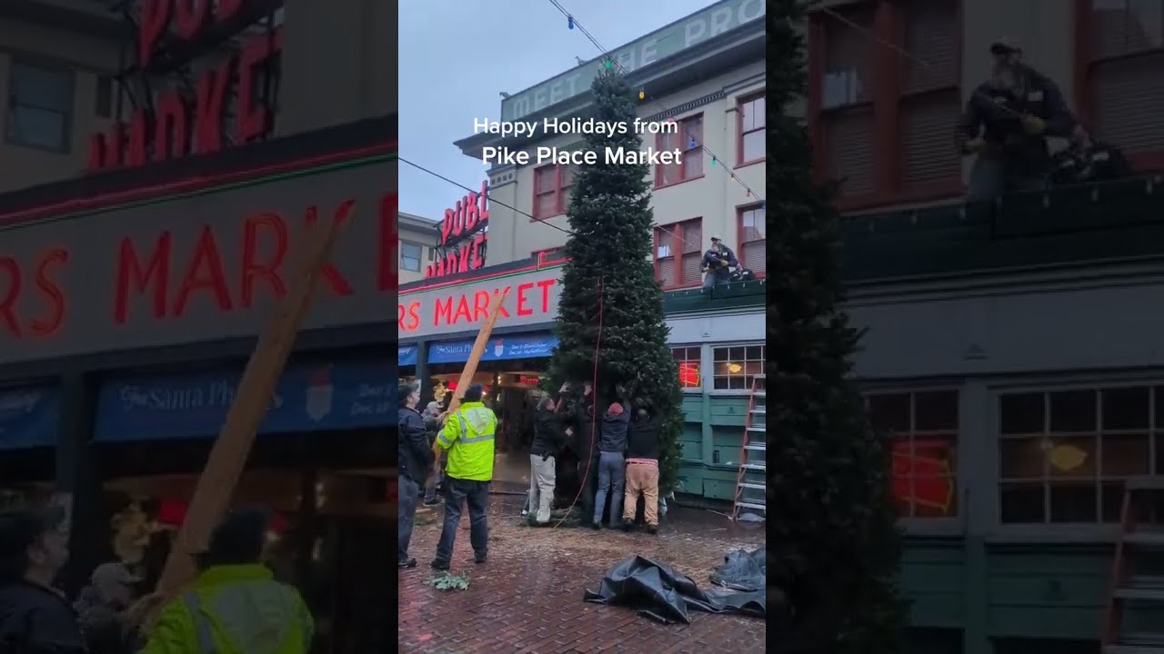 Holiday Tree Set Up at Pike Place Market 