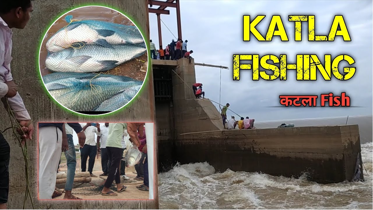 Katala Fishing/How to catch katala fish/katla fishing video's/katala fish catching/katla fish 