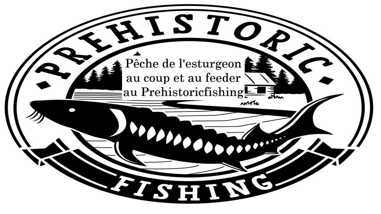 Cosmos Pêche et Découvertes - Esturgeon au coup et au feeder au Prehistoricfishing