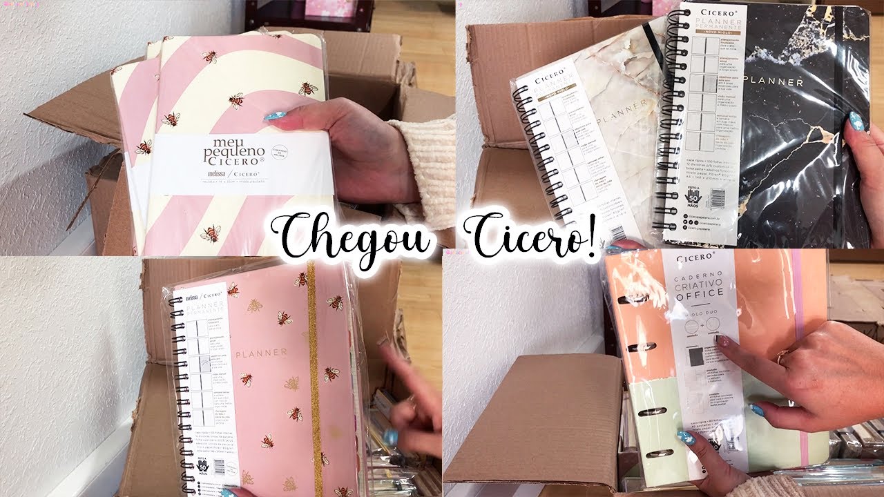 Abrindo Caixas da Cicero!! ♡ Estação Fofa Papelaria