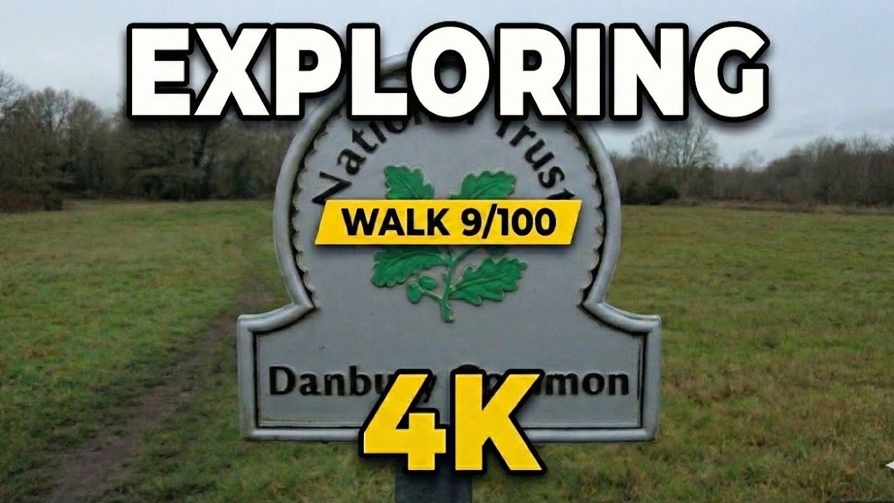 Exploring Danbury Common: A Walk Through Heathland & Woods - 4K - Walk 9/100