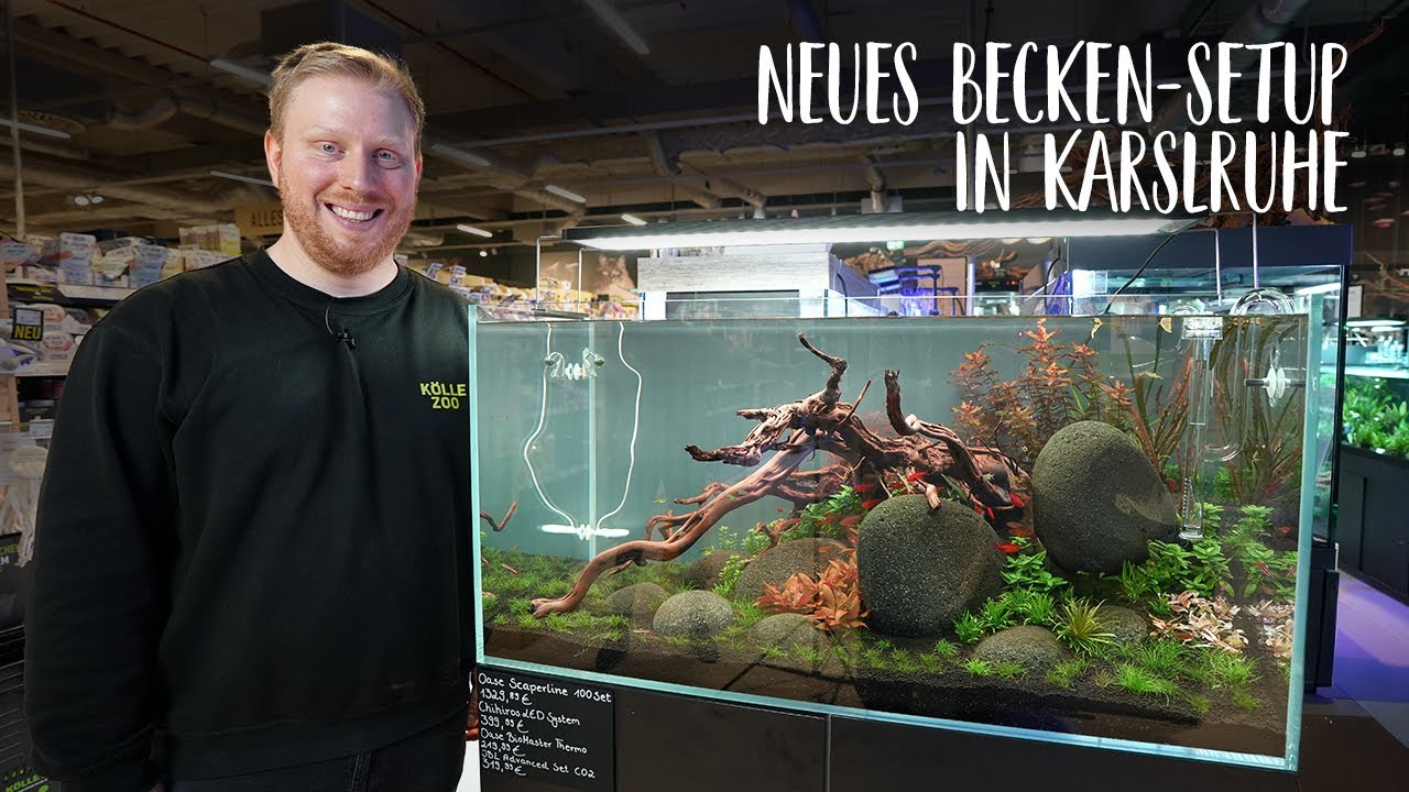 Unser neues Becken-Setup in Karlsruhe | KÖLLE ZOO