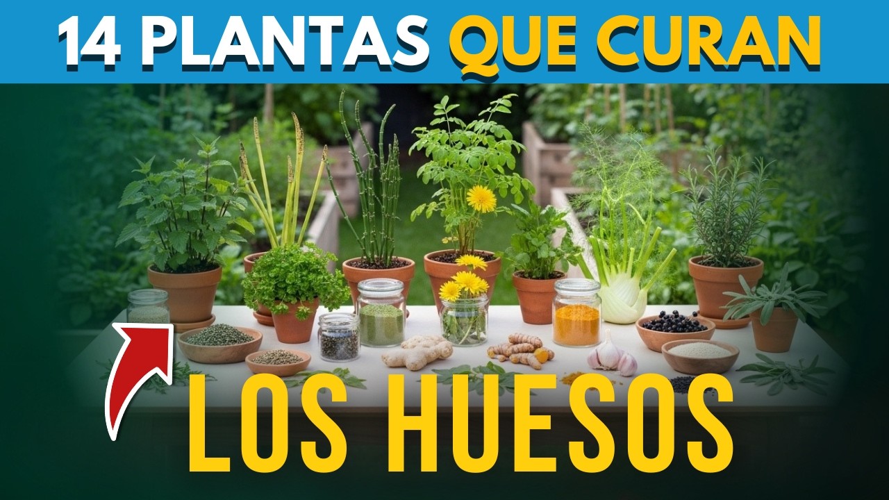 🌿14 PLANTAS PODEROSAS que FORTALECEN HUESOS y ARTICULACIONES💚| (Previenen OSTEOPOROSIS Naturalmente)