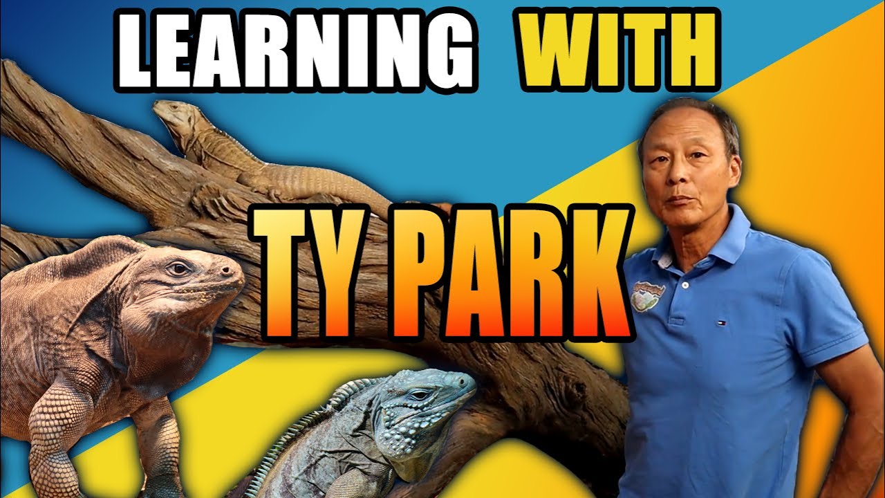 Ty Park Showed Me His Massive Iguana! ;)