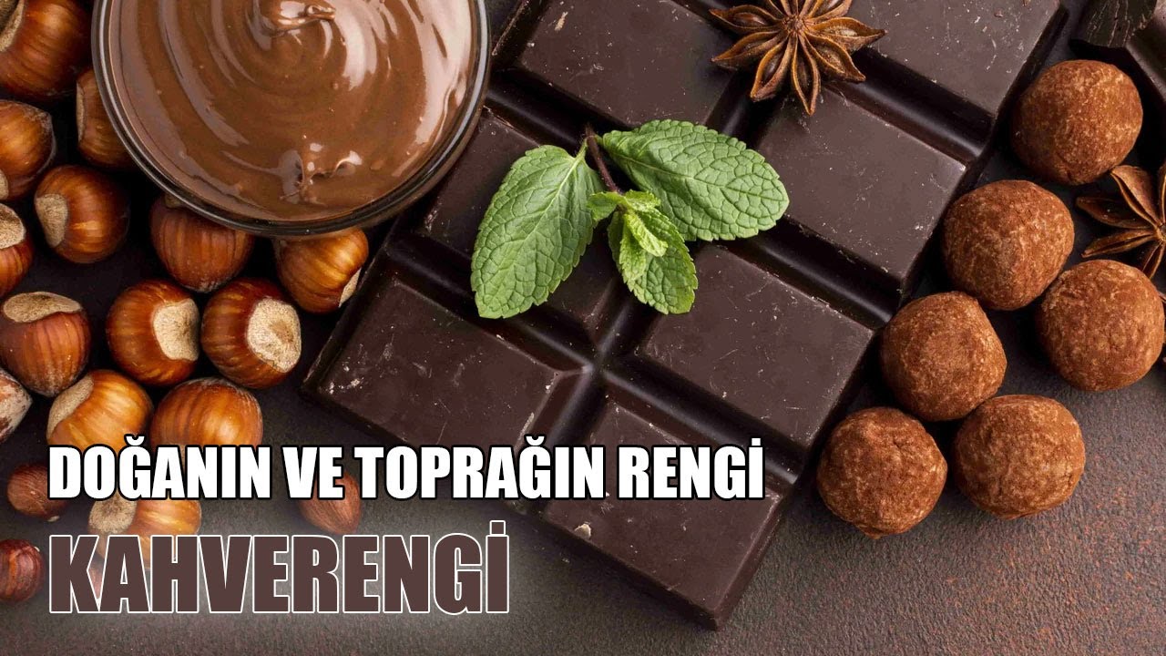 🐿️ Doğanın ve Toprağın Rengi: 🍫 Kahverengi! Çocuklar İçin Renkler