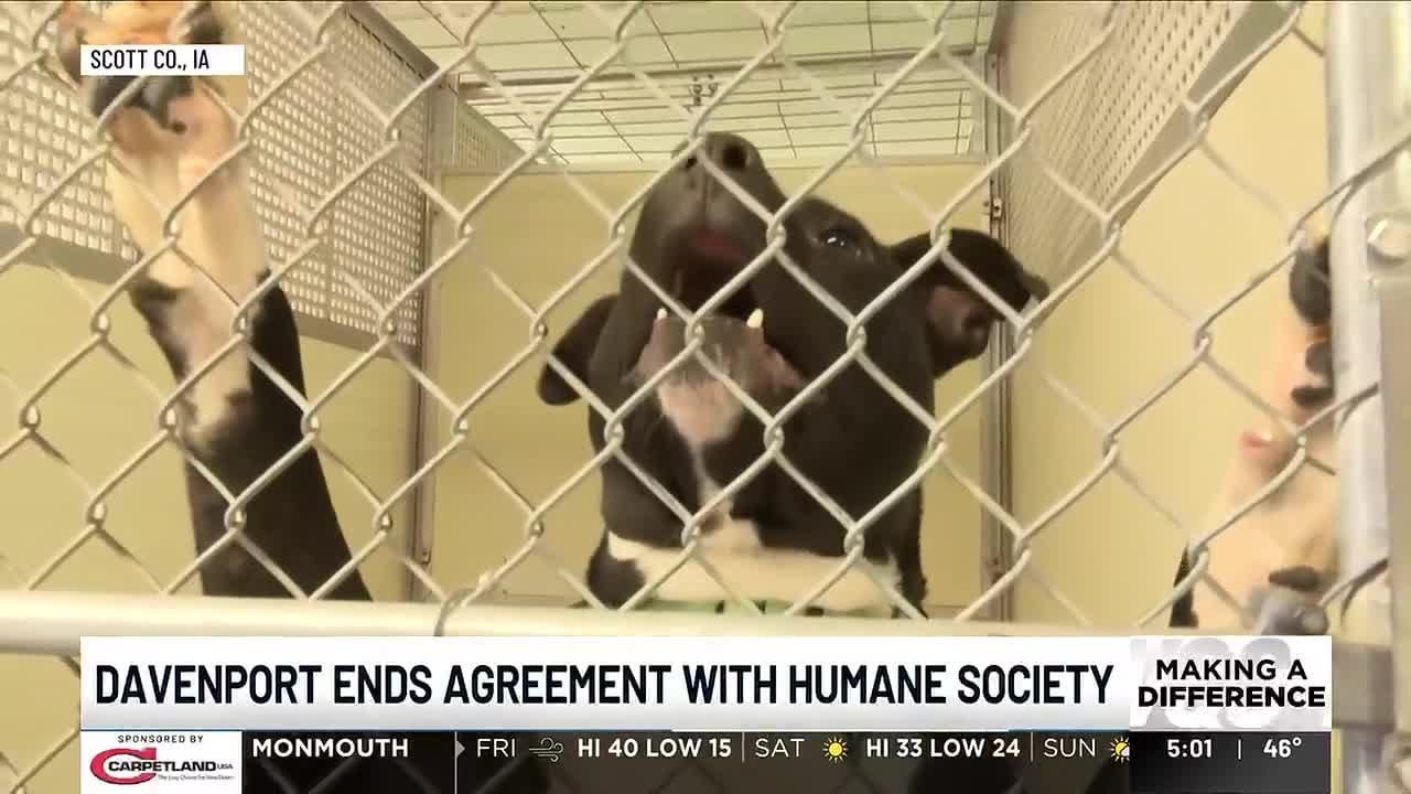 Scott County Humane Society unable to reach deal with City of Davenport
