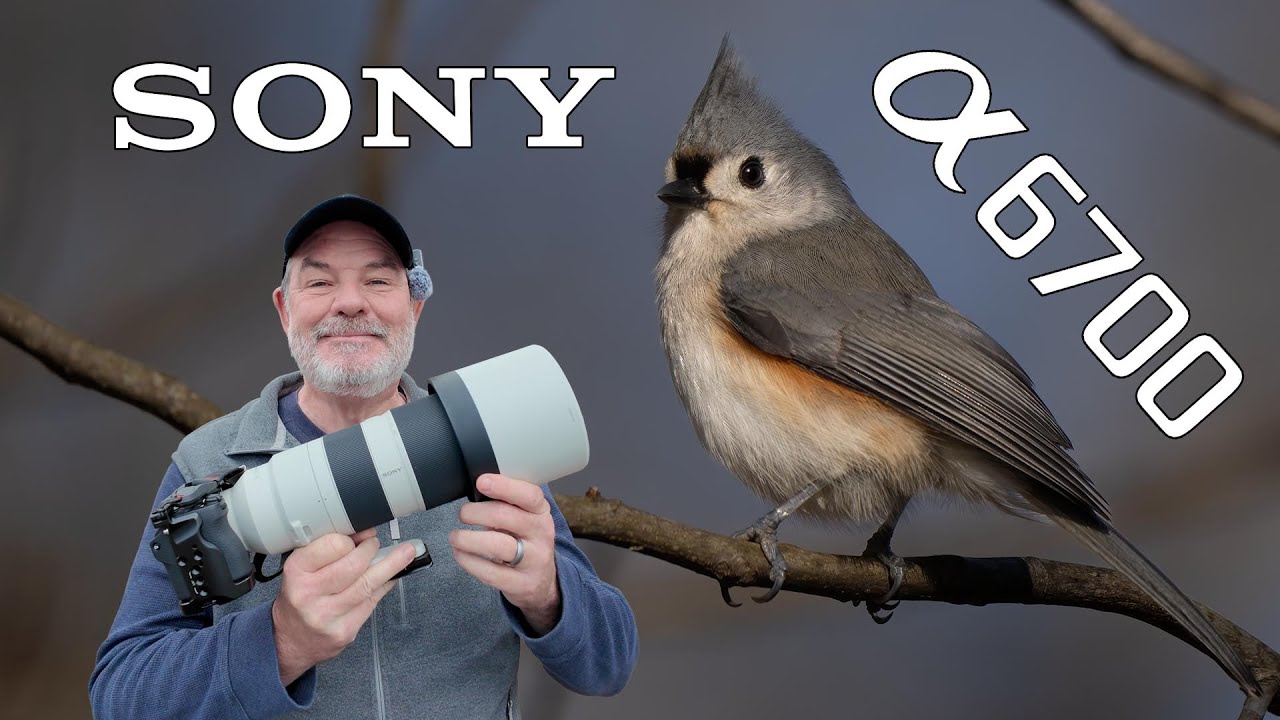 Фотоаппарат Sony a6700 для съемки птиц и оленей, зум-объектив 200-600!