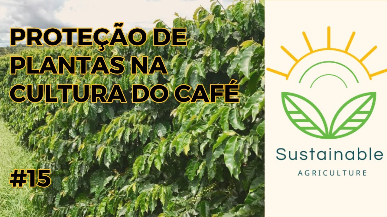 🌱 COMO PROTEGER SEU CAFÉ: Pragas, Doenças e Plantas Daninhas | Guia Completo ☕