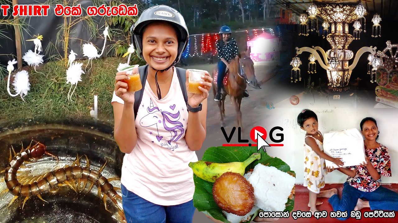 vlog | දන්සල් 30කින් කාපු පොසොන් දවස 😄 මේක කටක්ද බඩක්‌ද 🙉 #vlog
