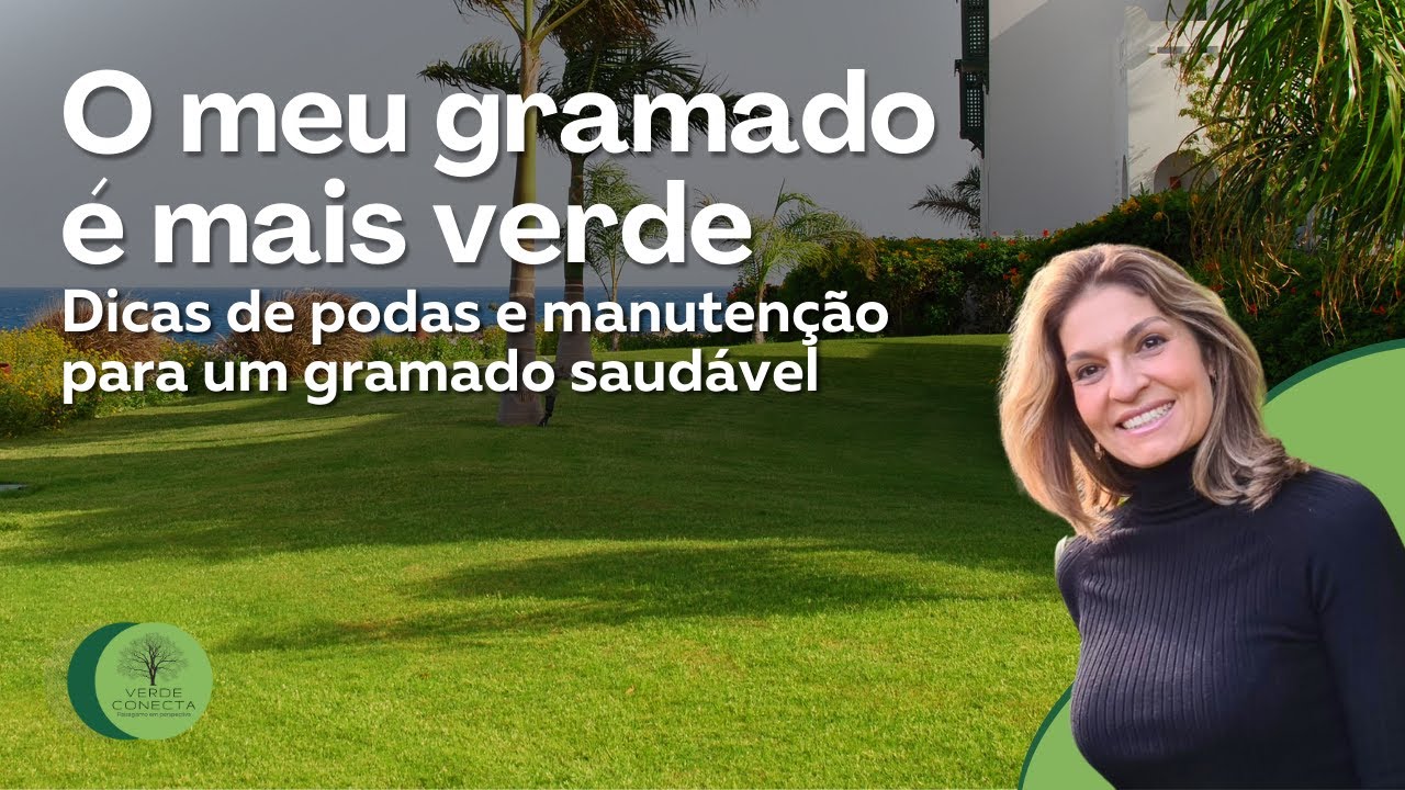 O meu gramado é mais verde: segredos para um gramado bonito e saudável