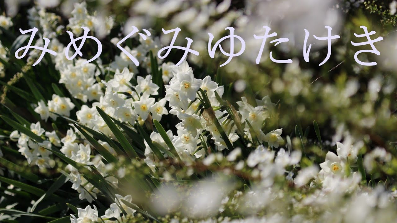 讃美歌21 461「みめぐみゆたけき」多重録音