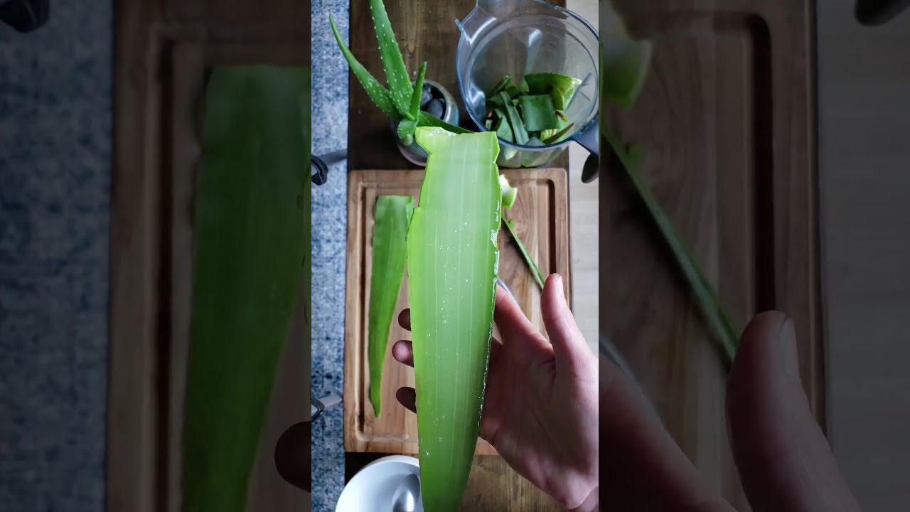 Как разрезать и извлечь гель алоэ вера из целого листа