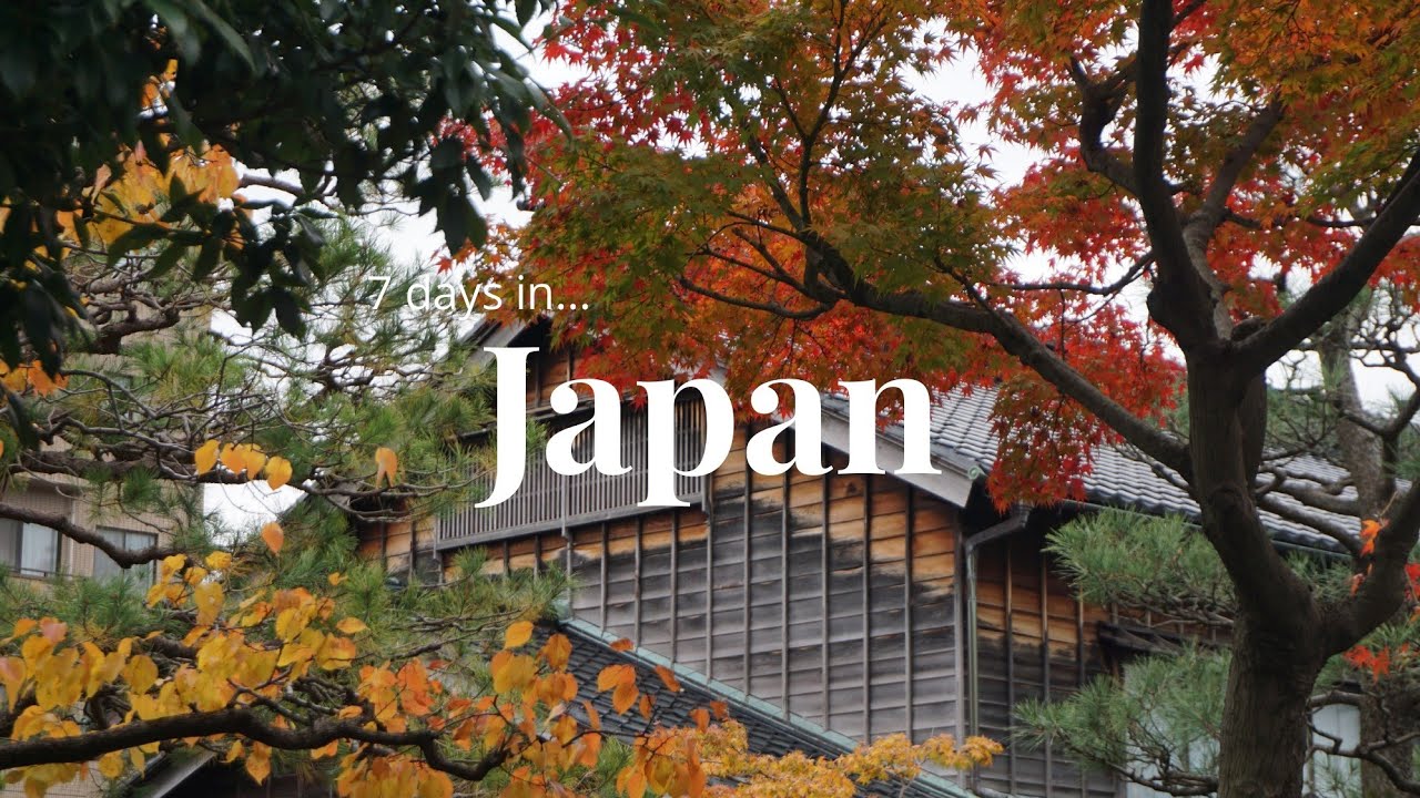 7 days in central Japan