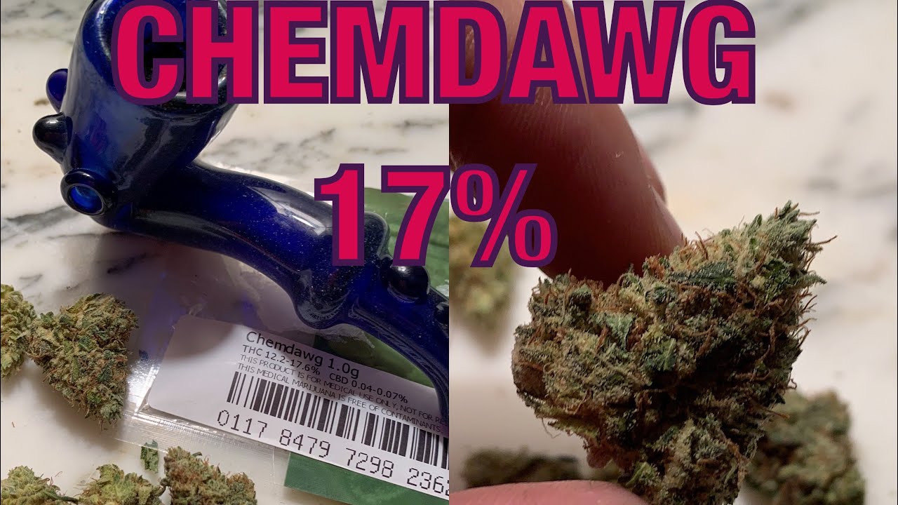 CHEMDAWG&mdash;17% Sativa dom hybrid
