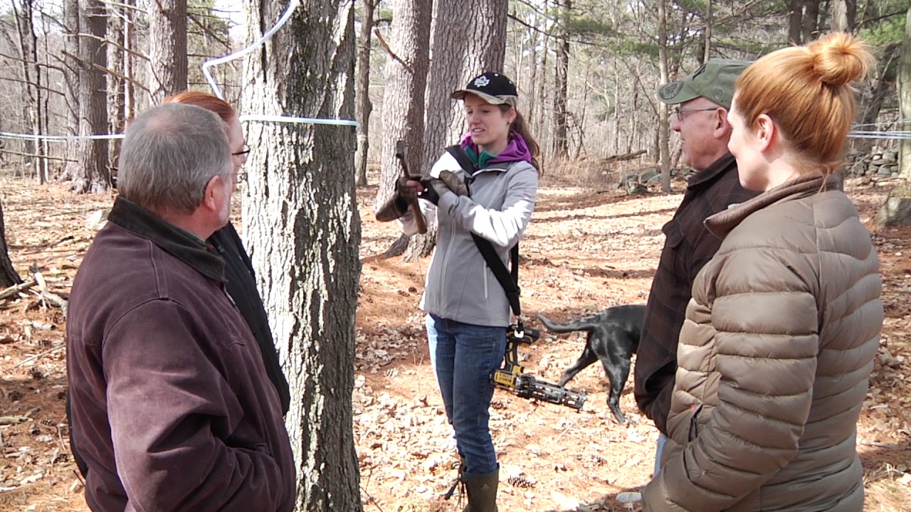 Maple Syrup Maker | Career Journey