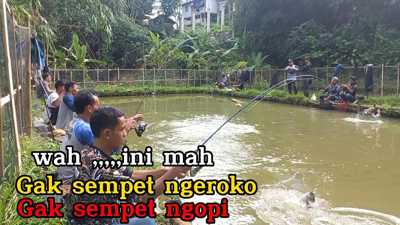 Bikin nagih,,,,Mancing sampe gax sempat ngeroko,,,,