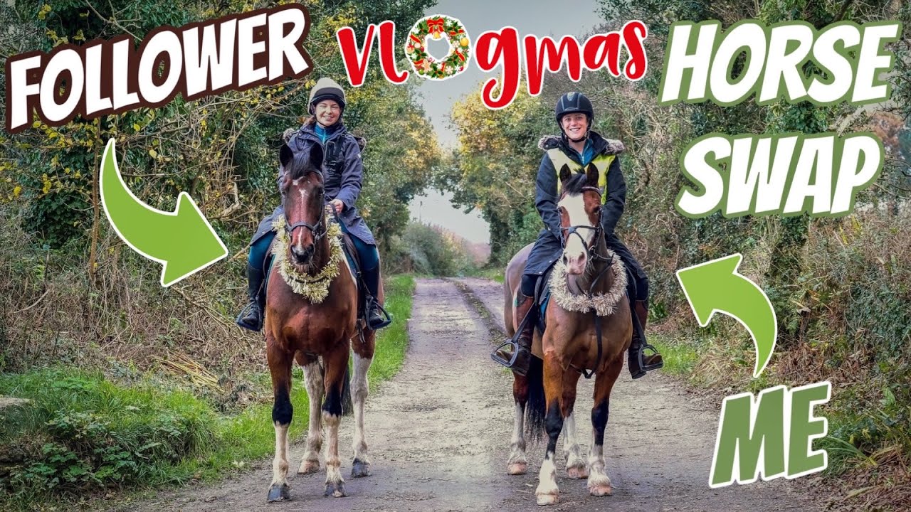 HORSE SWAP | Follower Rides my Horse