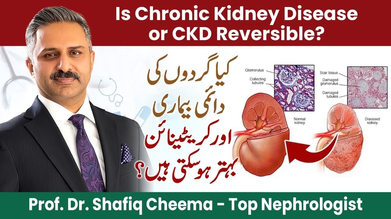 Reverse CKD? Can You Decrease Creatinine? #ckd #kidneyfailure #creatinine #egfr #kidneys #dialysis
