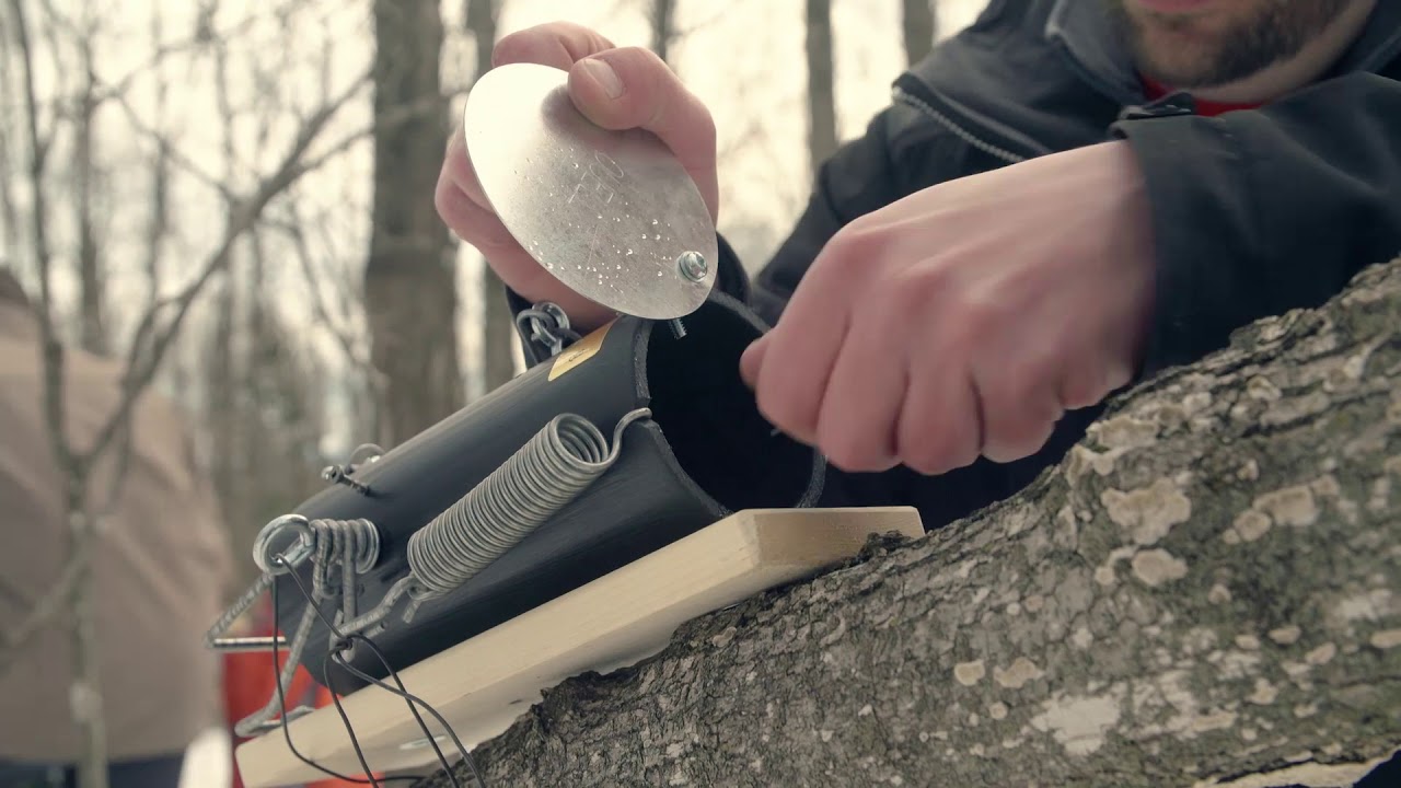 Ouell 3-10 Squirrel Trap EN