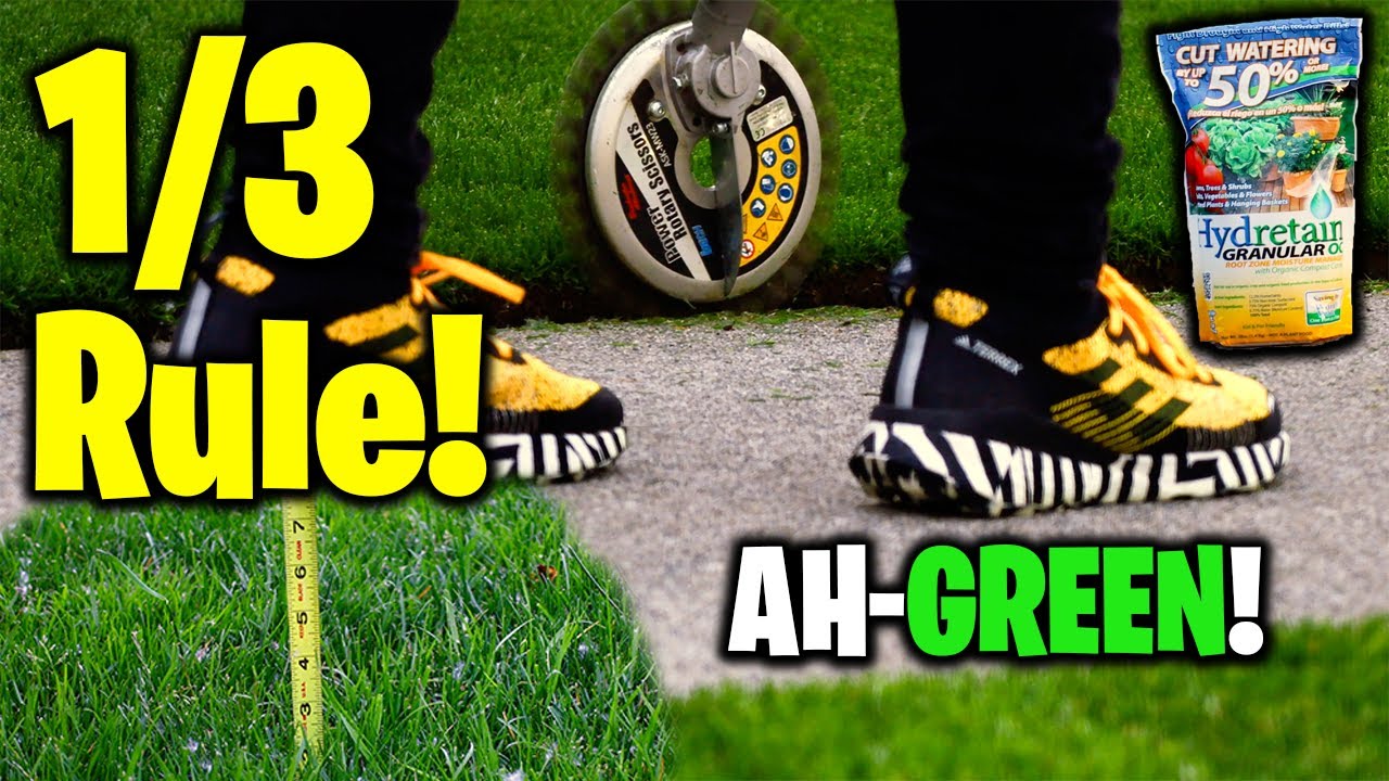 The 1/3rd rule for Amazing Grass! Hydretain Application! Subscriber Lawns.. man you gotta see these!