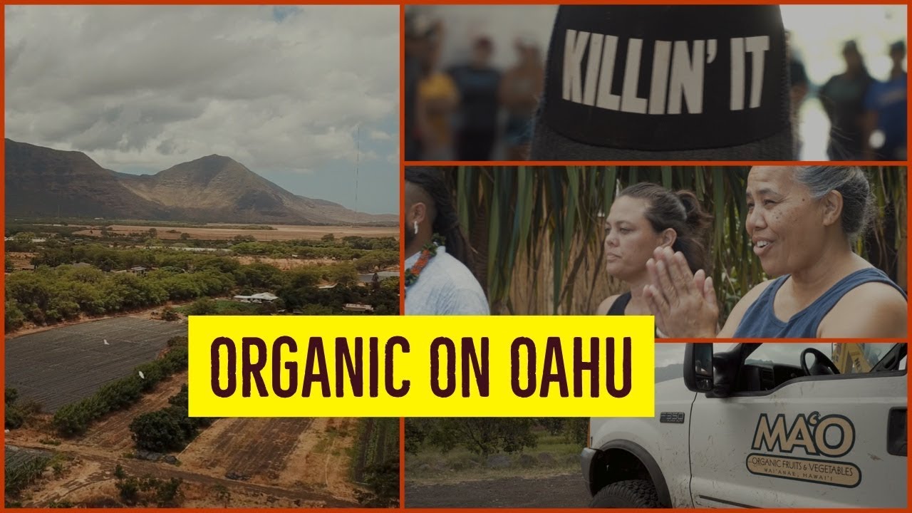 MA'O Organic Farms in Oahu