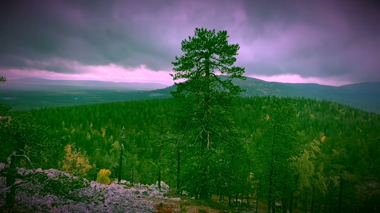 Toisella puolen virtaa Säv&sanat Juha Tapio