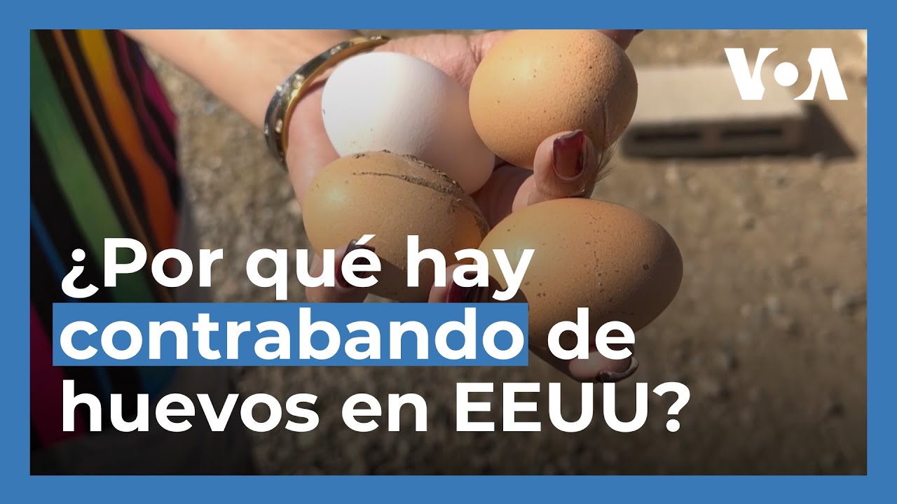 Aumenta contrabando de huevos en frontera sur de EEUU