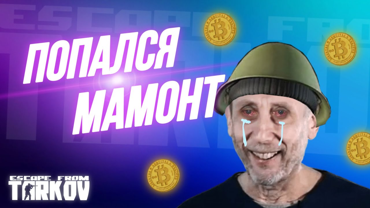 Highlights #8 | Лучший байт на мамонта | Тарков | EFT