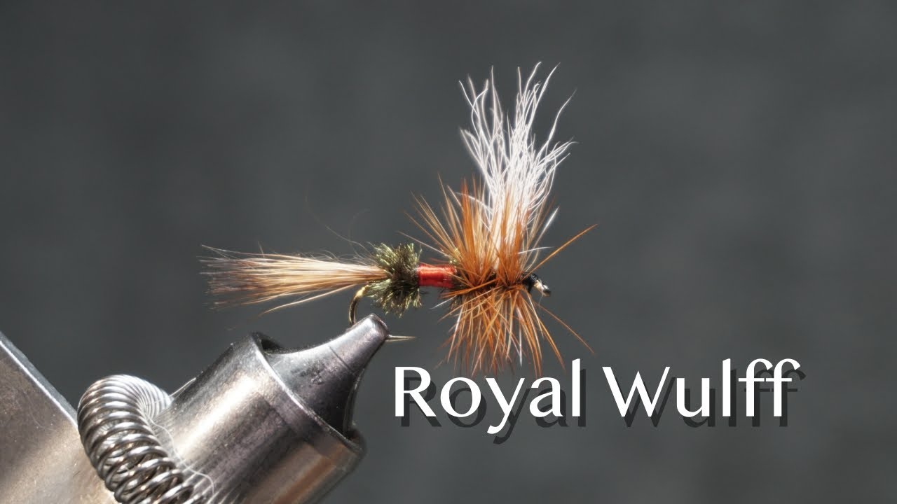 Royal Wulff: модель сухой мушки Lee Wulff