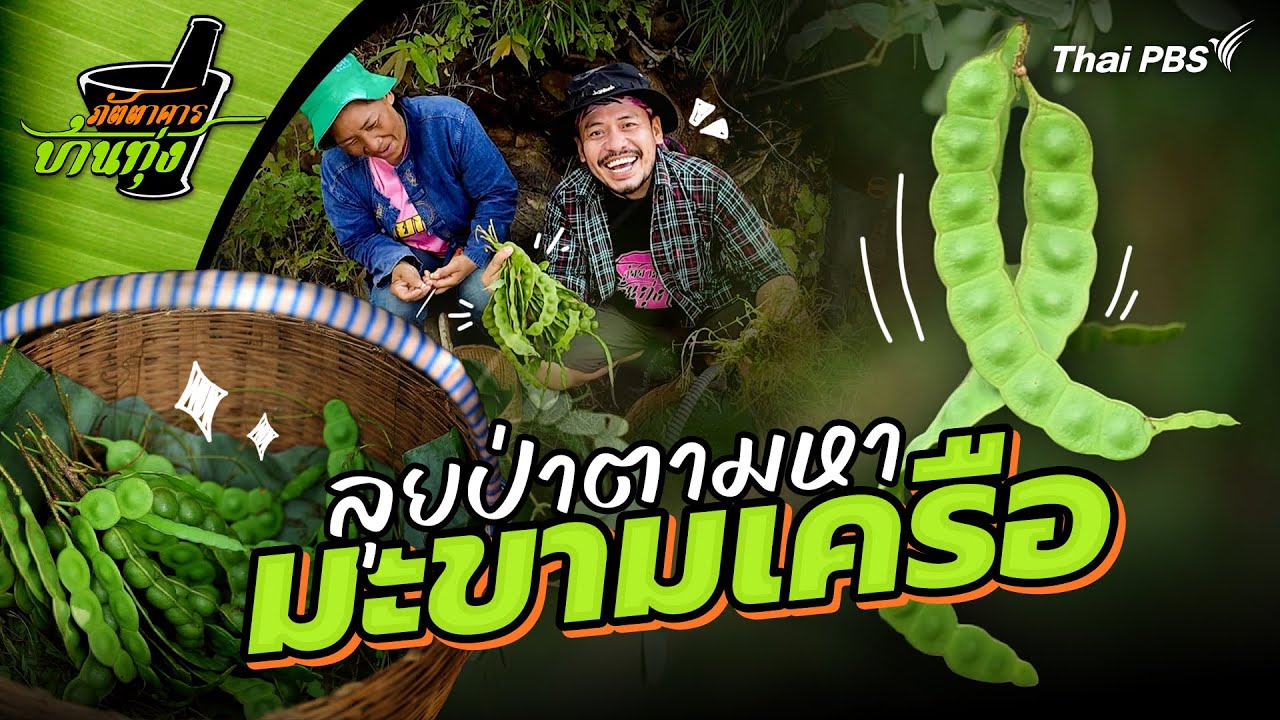 มะขามเครือ | ภัตตาคารบ้านทุ่ง