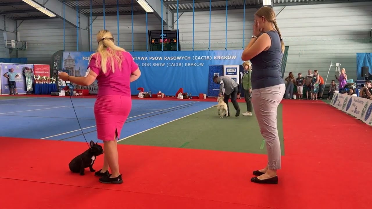 Krakow 2024 Day 2 International Show