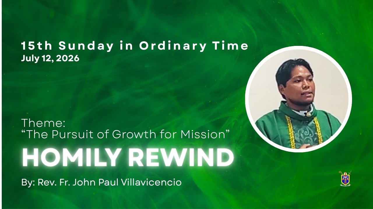 15th Sunday in Ordinary Time - Homily
