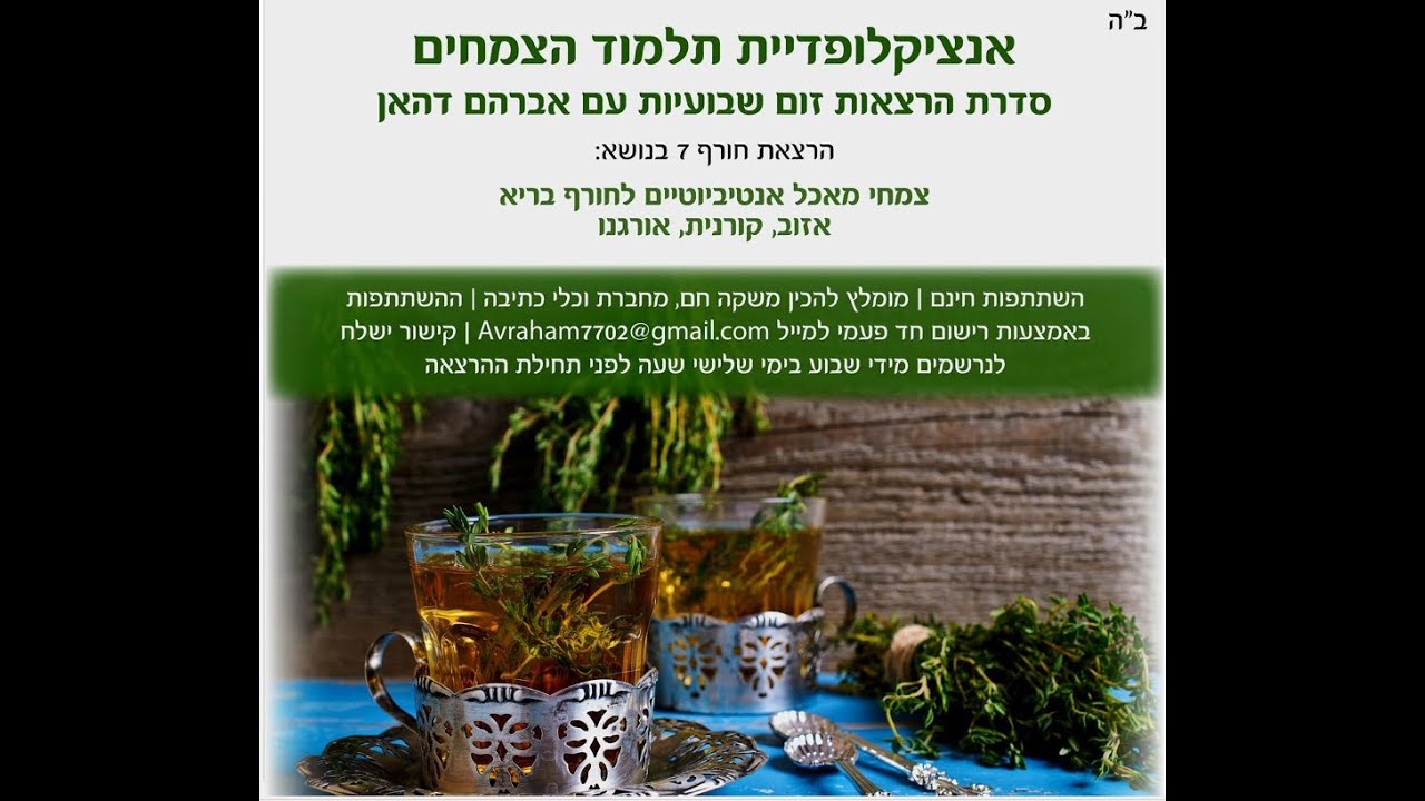 צמחי מאכל אנטיביוטיים-  אזוב, קורנית, אורגנו  שיעור מפי אברהם דאהן