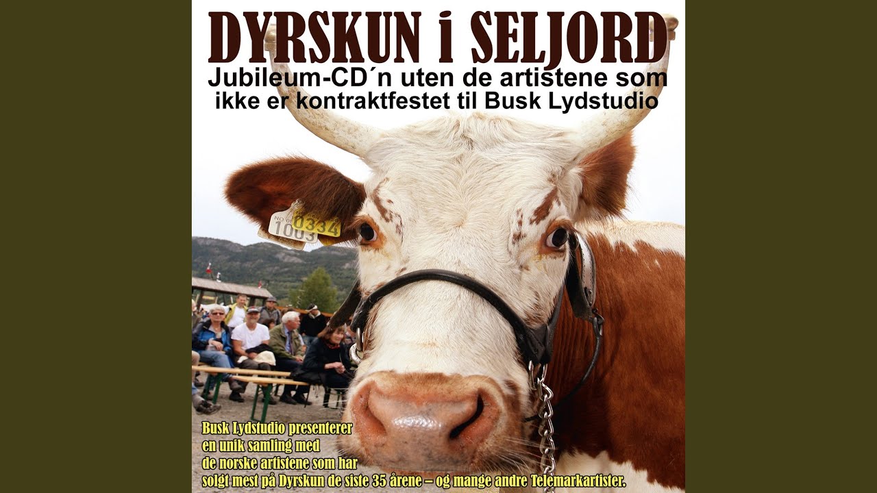 Tømmer og luksus